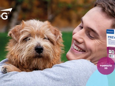 banner-virbac-960x350-prevendog