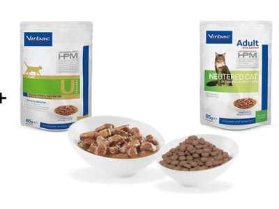 comida-humeda-seca-para-gatos