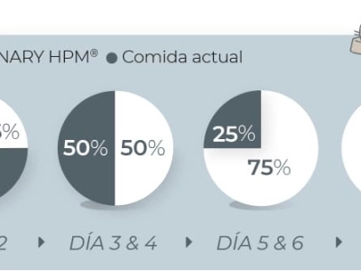 196d30b7d2f4-transicion-pienso-gato-virbac