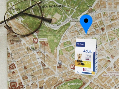 localizador_clinicas