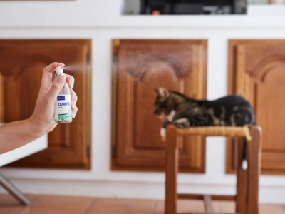 Zenifel Spray feromonas