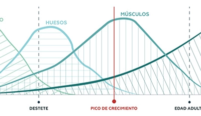 cachorros-crecimiento-virbac.