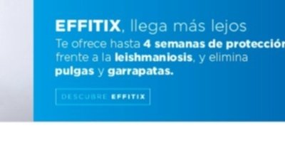 effitix-antiparasitario-externo-perros