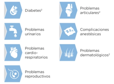 moved-34984fbabbcd8a07744091948b16d3d3