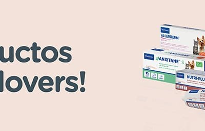 slider-banner-webshop-3-1