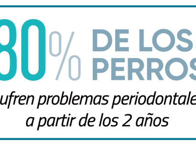 ef53db074b34-enfermedad-periodontal