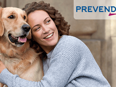 prevendog_collar_perro (1)