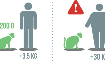 moved-bd586828a0a09e2ce51728e50f3ccbcd