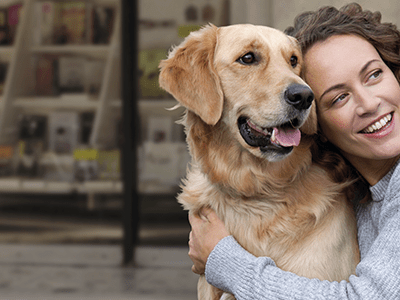 prevendog_collar_perro