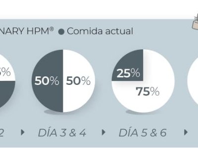 196d30b7d2f4-transicion-pienso-gato-virbac