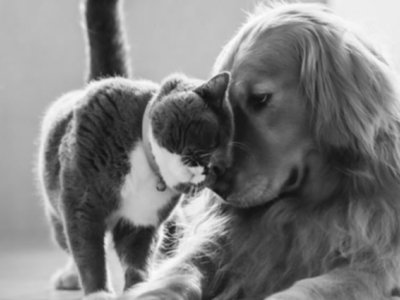 desk-carbcalculator-1680