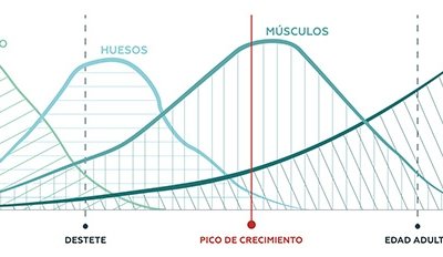cachorros-crecimiento-virbac.