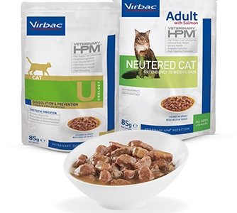 HPM_cat_wet_presentation