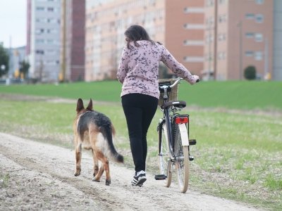 paseando-con-blondi-blog