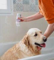 Dog_Allerderm shampoo_taking a bath_indoor_with petowner_advice