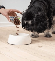 Dog_person pouring kibbles in a bowl while small dog watches_indoor_advice