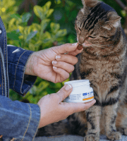 Cat_smelling Movoflex_outdoor_with petowner_advice